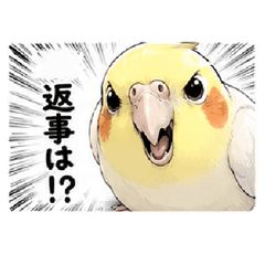 煽る！圧が強いインコ【シュール・面白い】 - LINE スタンプ | LINE STORE