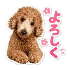 SAKU_20260511120201