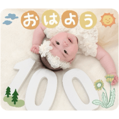 y products_20260511115350