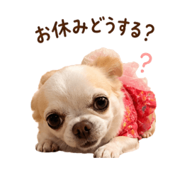 fiveF_20260511120545
