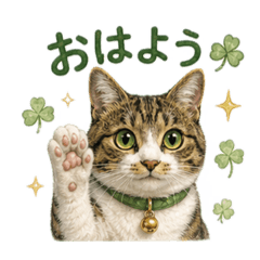 Miya_20260511120810