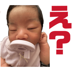 M.Y NOAH_20260511120808