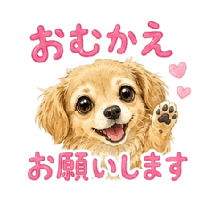 mocca_20260511131425