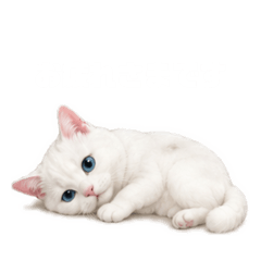 vivi_20260511132224