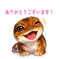 tantan_20260511205312