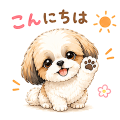 Shih Tzu Seven's Daily Life