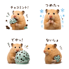 Reru's Chocolate Mint Obsession
