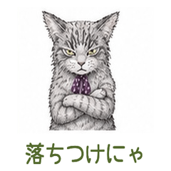 Angry cat 1 daily