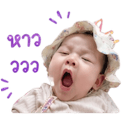 Phatthawadi_20260428121450