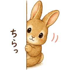 Rabbit - Cute Daily Chat Stickers