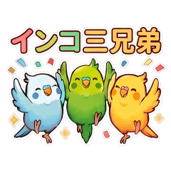 Parakeet-three brothers