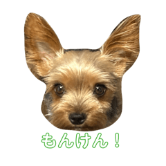 Ori_Ori_Ori