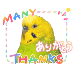 hana_20260511123933