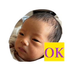 koa_20260511135356