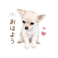 iku_20260511140432