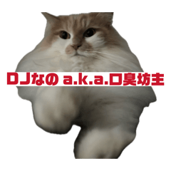 nano_20260511123341