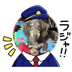 maro_20260511140945