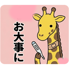 odayakamaigo_20260511141100