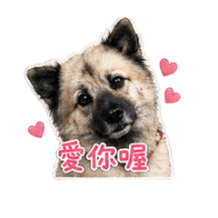 高樹爆炸頭