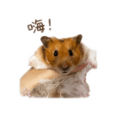 霸王龍小老鼠