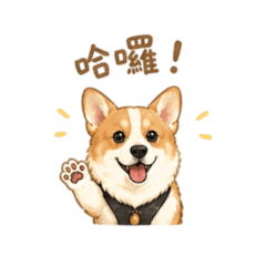 柯基犬-小豆仔