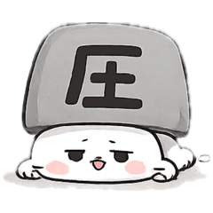 vivi_20260511115821