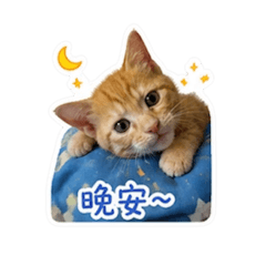 砂小姐日常