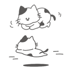 black and white cat aco