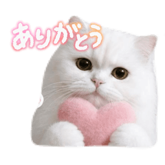 uyu_20260511125054