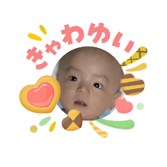 hokoro_20260511125100