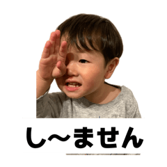 ajmw_20260511124916