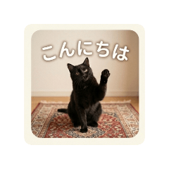 kuronekochan_20260511125709