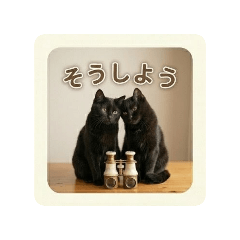 kuronekochan_20260511130613