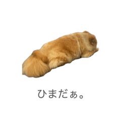 mana_20260511130528