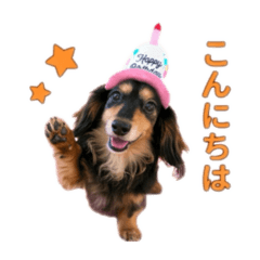 Ayana_20260511130441