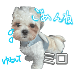 RINHO_20260511140955