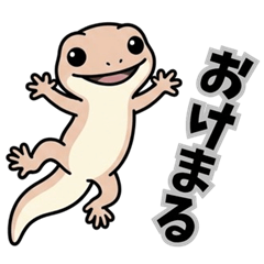 Japanese Gecko: Youth Slang