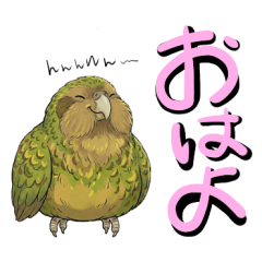 Daily Kakapo