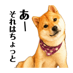 kiki_20260512162036
