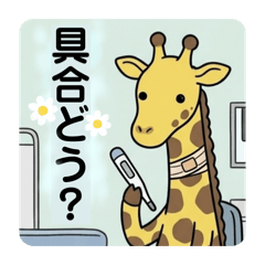 odayakamaigo_20260511140716