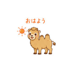 Camel Daily Stickers