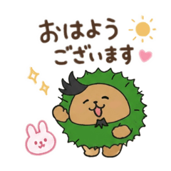 Everyday Life of Marimoko