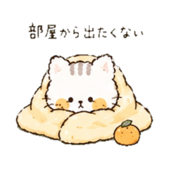 A fluffy homebody cat