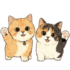 MunchkinCat Moko and Mugi