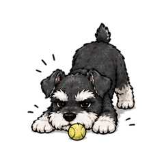 Cool Schnauzer Weekend Stickers