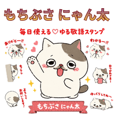 Cute Everyday Polite Cat Stickers