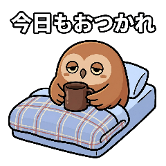 Night Owl's Gentle Nights