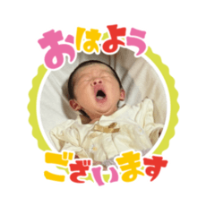 MAYA_20260511133310