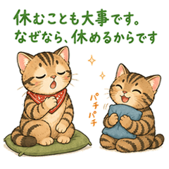 What Cats Think (It goes without saying)