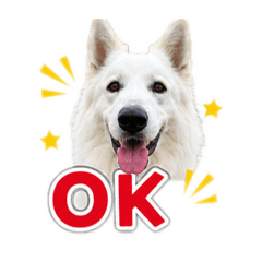 kuma_20260511152445
